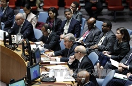 HĐBA thông qua nghị quyết hỗ trợ lực lượng chống khủng bố G5 Sahel